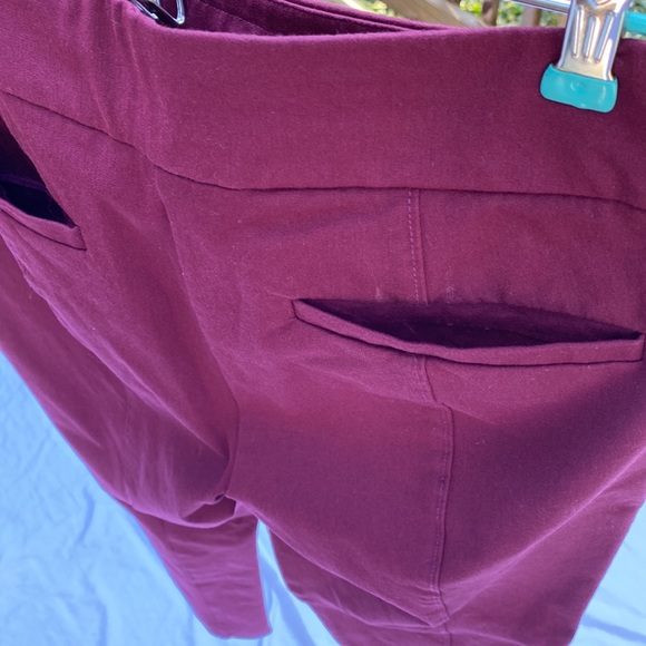 Anthropologie  Pant 10 Purple - Picture 16 of 17